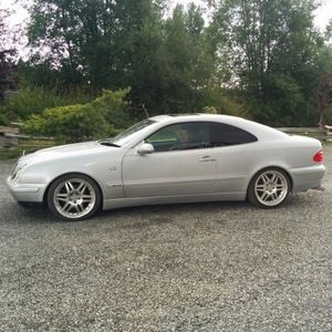 Meet your Posher, Campbell river cabs ltd.